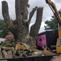 Brown's Tree & Stump Experts