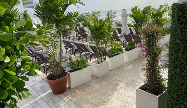 Proliners Inc - Miami, FL. Plant install on hotel pool terrace