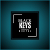 Black Keys Digital gallery