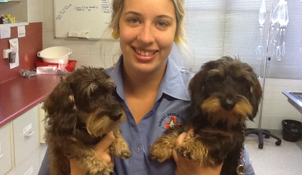Animal Medical Centre Veterinary Hospital - Launceston, TAS