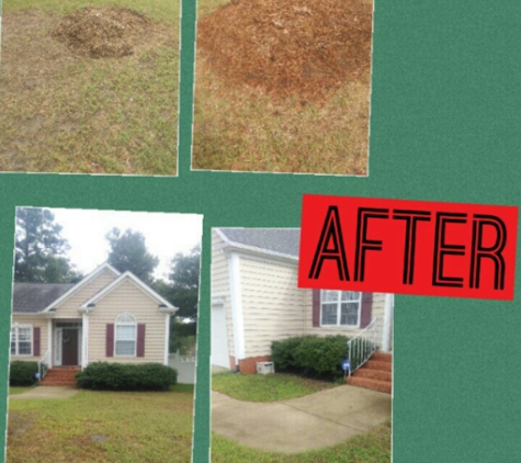 The New Beginning Lawn Care - Williamsburg, VA