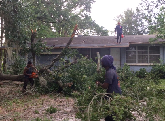 Advanced tree & landscape services inc - Jacksonville, FL