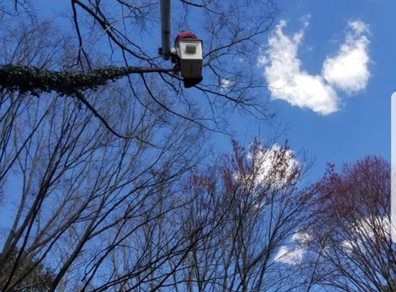 Dalton's Tree Service - Hickory, NC. This was a job we done over a house for a happy costumer.