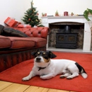 Claws & Paws Grooming & Pet Supply