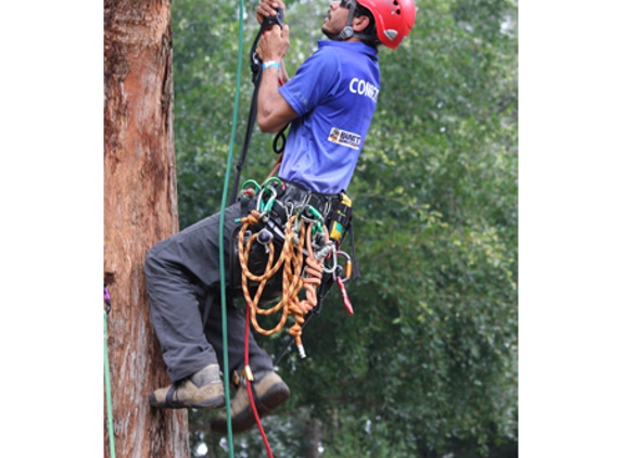 Integral Tree Care - Tintenbar, NSW