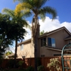 Santiago Tree Service gallery