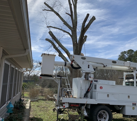 Porterfield Stump & Tree - Watkinsville, GA