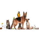 Associates In Veterinary Medicine