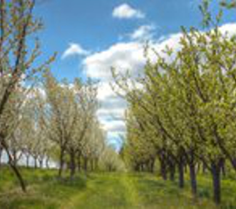 Gifford Brothers Inc Tree Service - Telford, PA