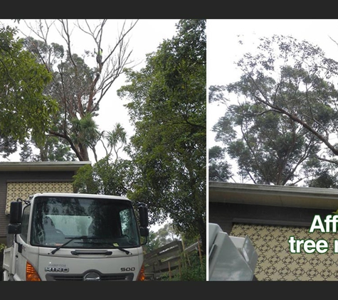 Woodstock Tree and Stump Removal - Coldstream, VIC. Dead Dangerous Tree
