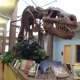 Bentonville Public Library