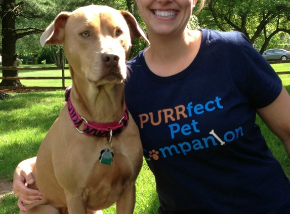 PURRfect Pet Companion - Hatfield, PA