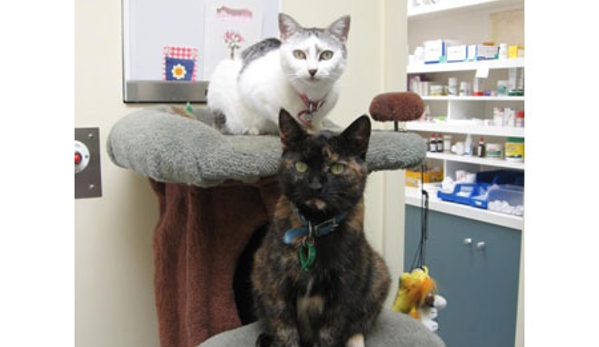 Petstock Vet Hospital - Altona North - Altona North, VIC