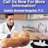 Dublin Animal Hospital PC - Jay Marshall Lord DVM gallery