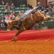 Southeastern Professional Rodeo Association