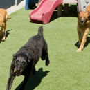 K-9 Dog Kennels - Pet Boarding & Kennels