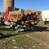 Quality Firewood & Supply Inc gallery