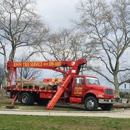 Rmm Tree Service Corp - Tree Service