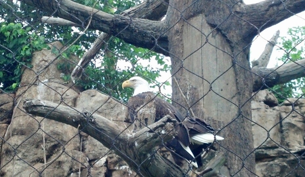 Memphis Zoo - Memphis, TN