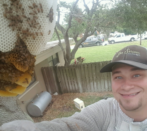 Bee Serious Bee REmoval - Orlando, FL