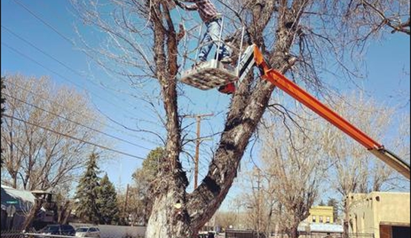 AMF Custom Landscaping - Farmington, NM