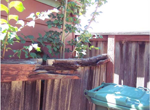 Orange Pest Control Services - Orange, NSW
