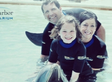 Miami Dolphin Encounter (non-swim) - (305) 556-5085