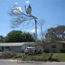 CAW TREE CONSULTANTS - Tree Service