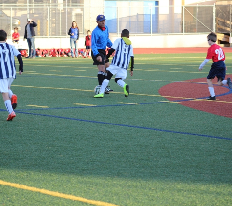 Alba Soccer Association Inc - Bronx, NY