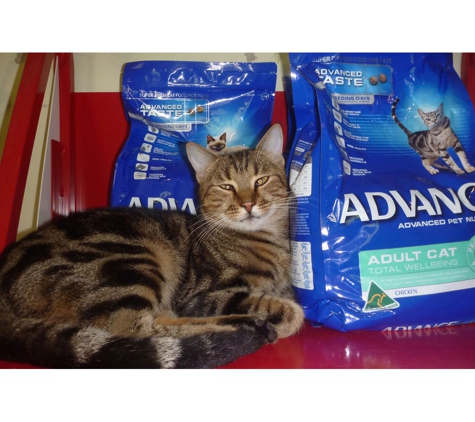 Fairymount Veterinary Clinic - Kyogle, NSW