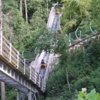 Smoky Mountain Alpine Coaster gallery