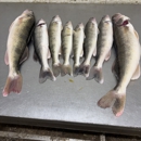 Bait Box - Fishing Bait