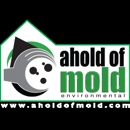 Ahold Of Mold Of Columbia - Mold Remediation