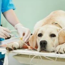 Redwood Veterinary Clinic - Veterinary Clinics & Hospitals