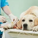 Redwood Veterinary Clinic - Veterinarians