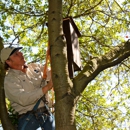 Sonoma-Marin Arborists Inc - Arborists