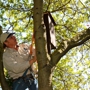 Sonoma-Marin Arborists, Inc.