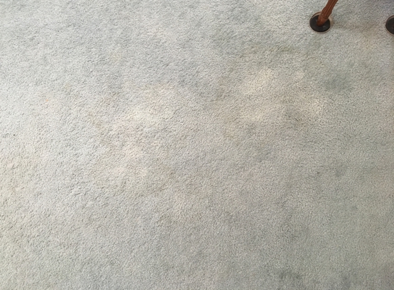 Smokey Mountain Carpet Cleaning - Afton, TN. After- $500 later!