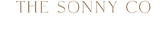 Sonny & Co. - Accountants & Auditors