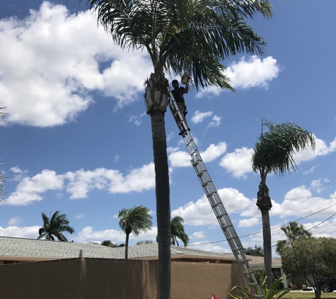 Branch Off, LLC - Sarasota, FL