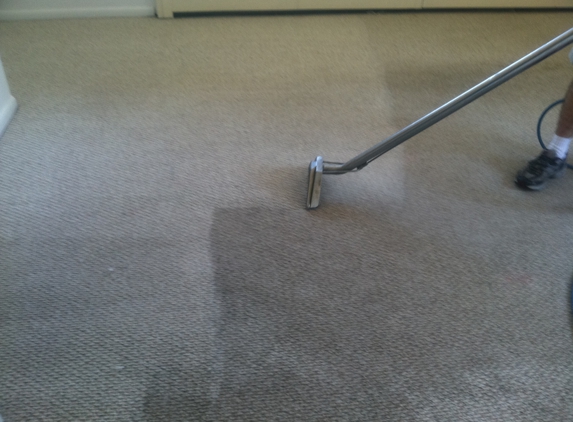 Premium Carpet & Upholstery Cleaning - Fort Collins, CO