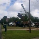 Jackson's Tree Service LLC - Tree Service