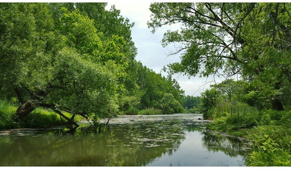 Tifft Nature Preserve - Buffalo, NY