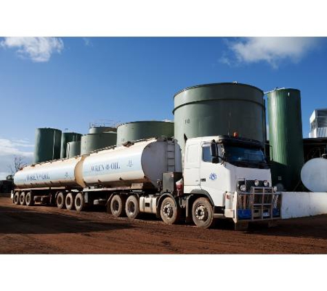 Wren Oil
