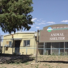 Las Vegas Animal Control