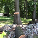 T&N Tree Naturalists - Arborists