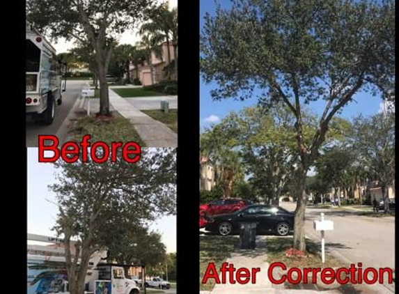 Go Green Affordable Tree Services - Homestead, FL