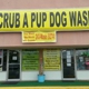 U-Scrub A Pup