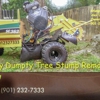Stumpty Dumpty Stump Removal gallery
