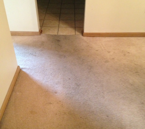 Professional Carpet & Upholstery Cleaning, Inc.